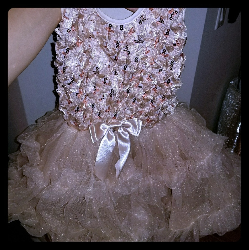 Popatu Champagne Dress
